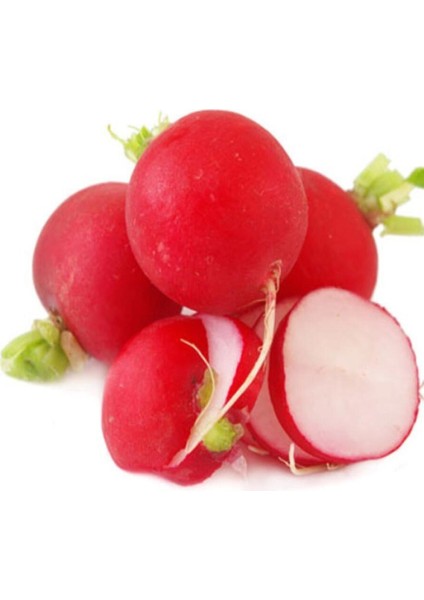 Iri Toros Kırmızısı Turp Tohumu (10 Gram)