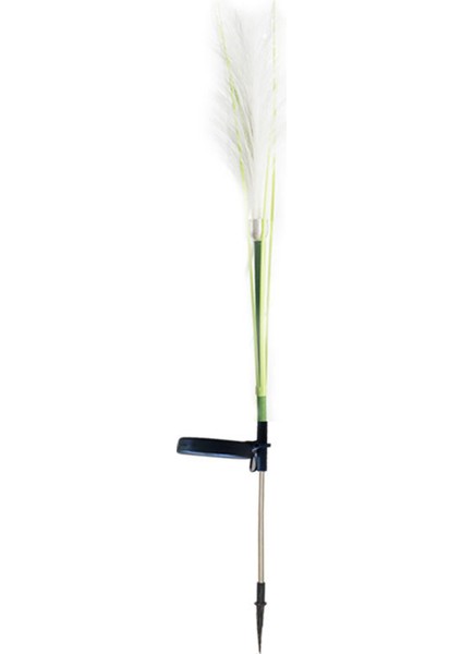 Fiber Optik Kamış Fiş Işığı Pampa Kamış Aydınlatması Güneş Beyaz Işığı (Yurt Dışından)