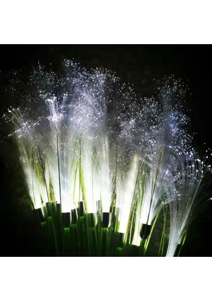 Fiber Optik Kamış Fiş Işığı Pampa Kamış Aydınlatması Güneş Beyaz Işığı (Yurt Dışından) fırsatları