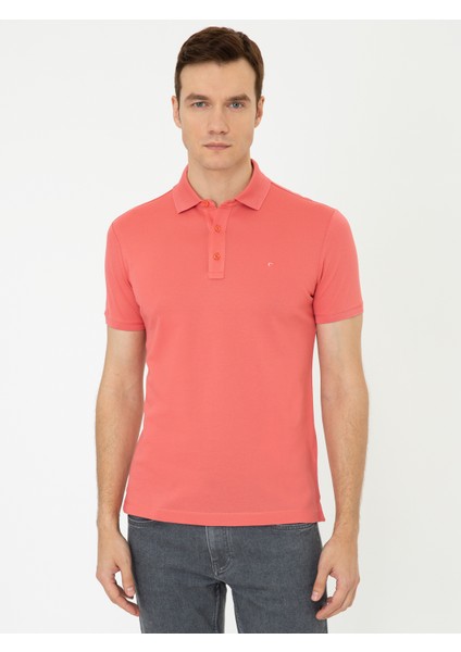 Polo Yaka Basic T-Shirt 50250172-VR186