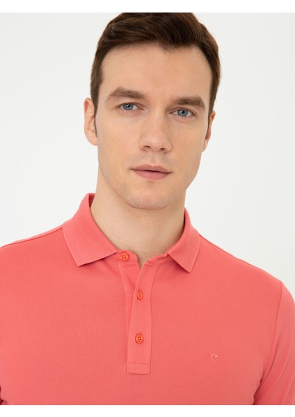 Polo Yaka Basic T-Shirt 50250172-VR186