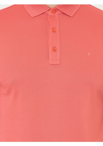 Polo Yaka Basic T-Shirt 50250172-VR186