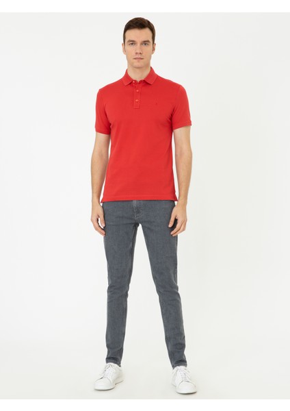 Polo Yaka Basic T-Shirt 50250172-VR039