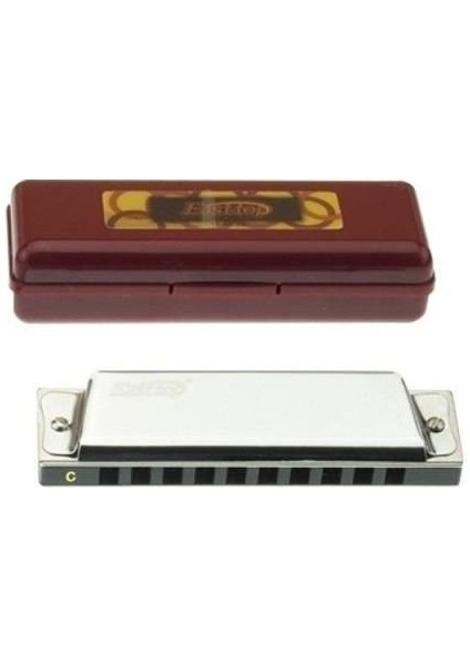 T10 Paslanmaz Çelik Gövde (10 Delikli - Gümüş-Altın Renk Harmonica).