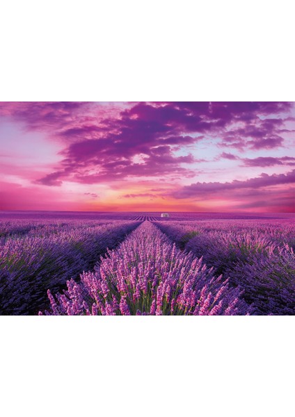 Ekstra Zor 1000 Parça 98450 Lavander Field Puzzle