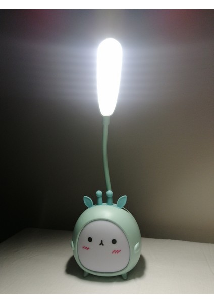 USB Ledli Şarjlı Masa Üstü Dekoratif Hediyelik
