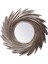 Lion Silver Ayna 1