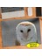 Vahşi Yaşam Sevimli Baykuş 240 Parça Puzzle YAPBOZ-70930803 1