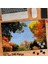 Asil Hobi - Gökyüzü - Sonbahar - Renkli Ağaçlar - Doğa - Yapboz - Ayak Destekli 240 Parça Puzzle 1