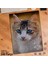 Asil Hobi Cat - Mavi Gözlü Kedi - Sevimli Hayvan Yapboz -Ayak Destekli Çerçeveli 240 Parça Puzzle 1