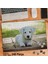 Asil Hobi Sevimli Yavru Köpek - Sevimli Hayvan Yapboz -Ayak Destekli Çerçeveli 240 Parça Puzzle 1