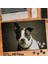 Asil Hobi Siyah Beyaz Tüylü Köpek - Hayvan Yapboz -Ayak Destekli Çerçeveli 240 Parça Puzzle 1