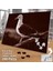 Asil Hobi Martı - Kuş - Hayvan - Yabani Hayat Yapboz -Ayak Destekli Çerçeveli 240 Parça Puzzle 2