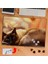 Kara Yüzlü Sarı Kedi 240 Parça Puzzle Yapboz TABLO-3691 1