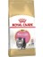 Royal Canin Persian Kitten Yavru Iran Kedisi Maması 2 kg 1