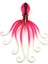 Octobus 35GR 10CM Uv Pink Glow 1