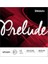J810 Keman Tel Set Medium Prelude EJ810 1