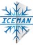 TF6421 Gerwyn Price Snow Flake Kanat Seti 2