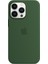 Ex Beauty iPhone 13 Pro 6.1 Inç Silikon Kılıfı (Yurt Dışından) 1