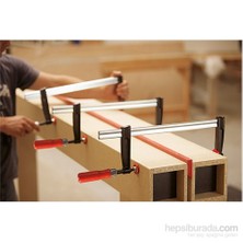 Bessey Tpn100S12Be Standrt Tıp Marangoz İşkencesi