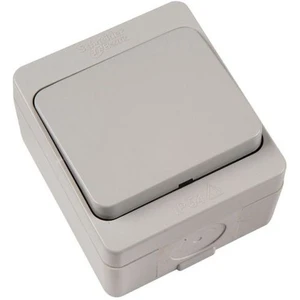 Schneider Electric Nemliyer Anahtar Gri