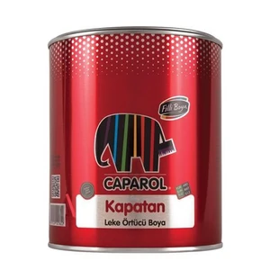 Filli Boya Caparol Kapatan