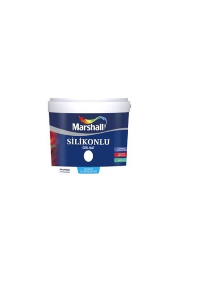 Silikonlu Özel Mat 15 Lt Ay Çiçeği