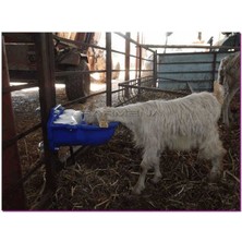 Farmena Otomatik Keçi Suluğu