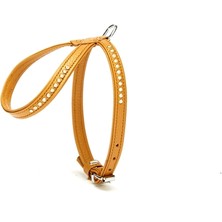 Doggie Flotter Swarovski Taşlı Deri Köpek Göğüs Tasması 1,2 x 25-35 cm Kamel