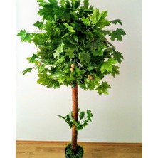 Dekor Yapay Çınar Ağacı (2 Metre)