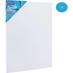 925G Tuval 35 x 50 cm 3'lü