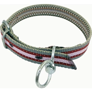 Küçükbaş Kolon Tasma