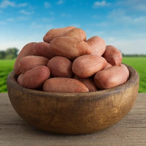 Hacı Mümtaz Tuzsuz Fıstık 500 gr
