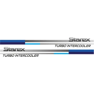 Hyundaı Starex Mavi Stıcker
