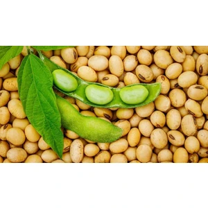 Karahasanoğlu Tarım Yerli Soya Fasulyesi Tohumu 500 gr