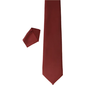 ALTINYILDIZ CLASSICS Erkek Bordo Kravat-mendil Set