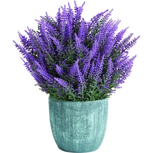 Dükkan Senin 20 Adet Lavanta Mor Kokulu Ingiliz Lavanta Çiçeği Tohumu