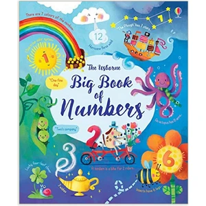 Big Book Of Numbers (Ciltli) - Felicity Brooks