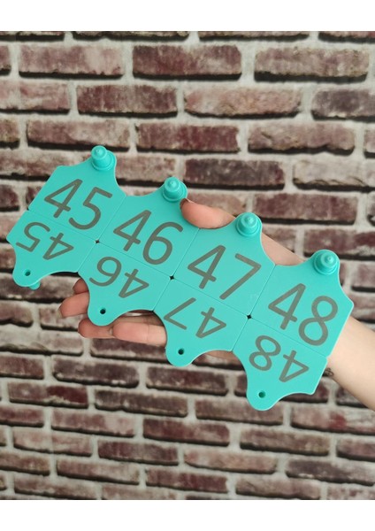 450 Adet Büyükbaş Kulak Küpesi Standart Boy