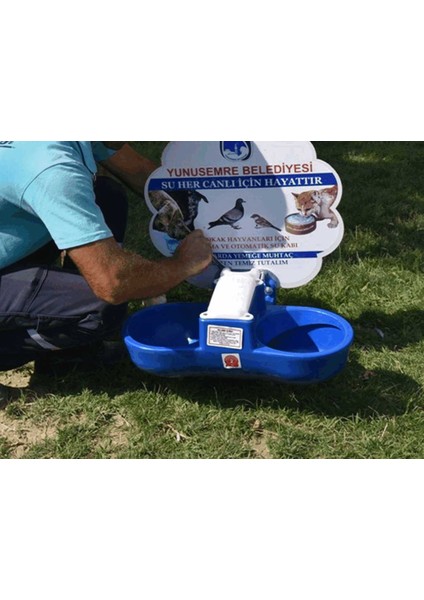 Sokak Hayvanları Suluğu Ikili