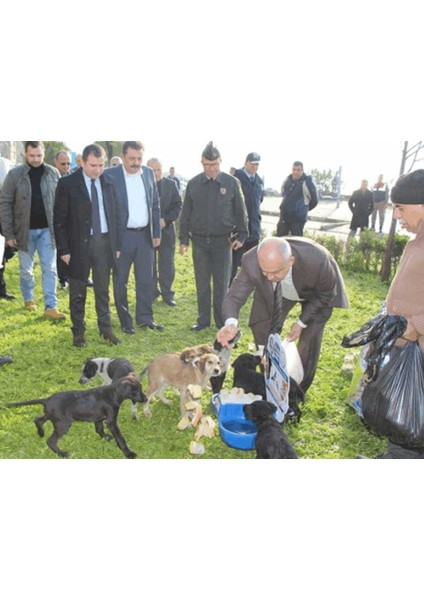 Sokak Hayvanları Suluğu Ikili modelleri