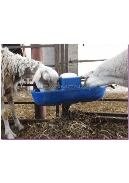 Koyun Suluğu 2'li fiyatları