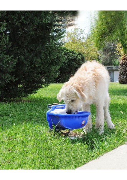 Otomatik Köpek Suluğu 4 Litre