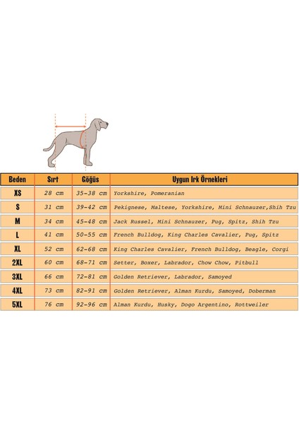 Yılan Desenli Su Geçirmez Bordo Köpek Kıyafeti Xs