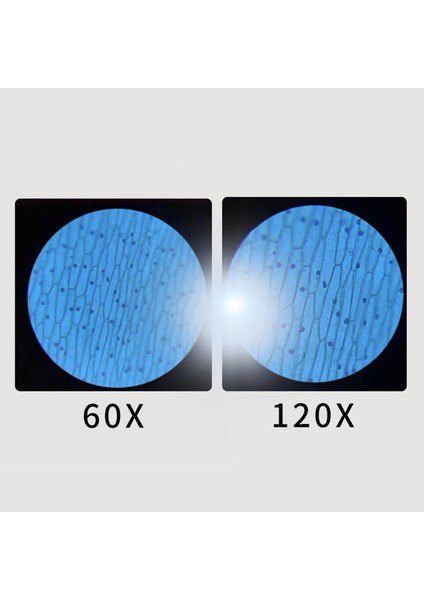 Mini El Mikroskop 60X-120X Yakınlaştırma Hediyeleri Çocuklar Için Yeni Başlayanlar Bitkiler Mavi (Yurt Dışından)