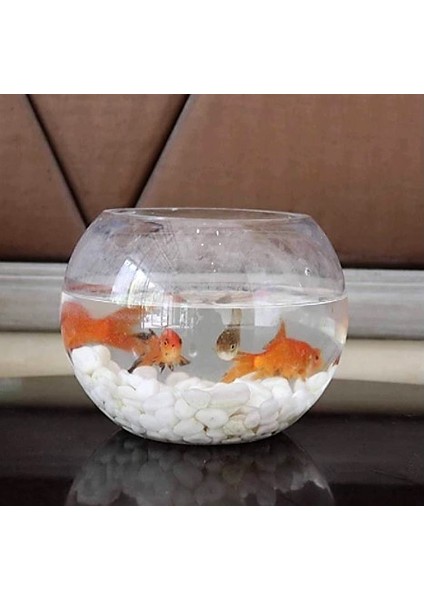 Lateksya, Beyaz Dolomit Taşı(1 Kg, 1-2 Cm) Çakıl Dere Taşı Dekoratif Bahçe Taşı Akvaryum Teraryum Saksı Süsü indirimleri