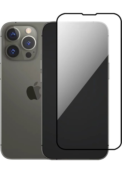 Apple iPhone 13 Pro Kılıf Şeffaf Kamera Korumalı Tıpalı Silikon + Tam Kaplayan Cam Ekran Koruyucu