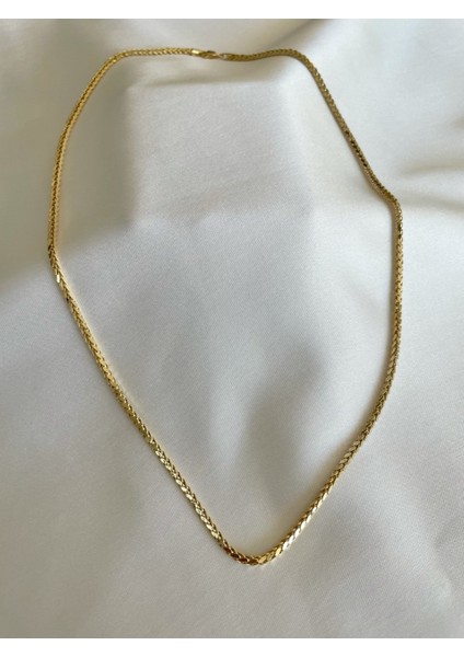 Palmiye Zincir modelleri