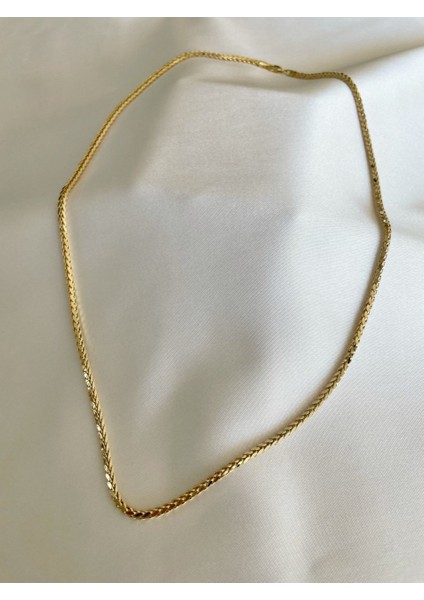 Palmiye Zincir fırsatları