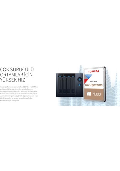 N300 4TB 7200RPM 128MB 7/24 Harddisk HDWQ140UZSVA modelleri